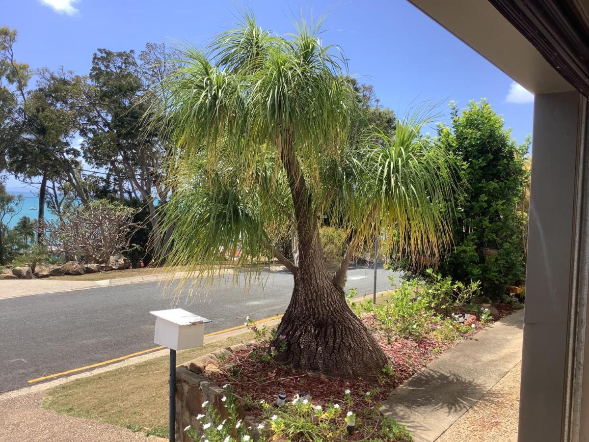 Studio Apartment With Seaview Airlie Beach Kültér fotó