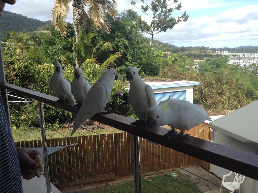 Studio Apartment With Seaview Airlie Beach Kültér fotó